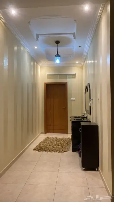 ش_ق_ة ي_و _م _ي_ة 0