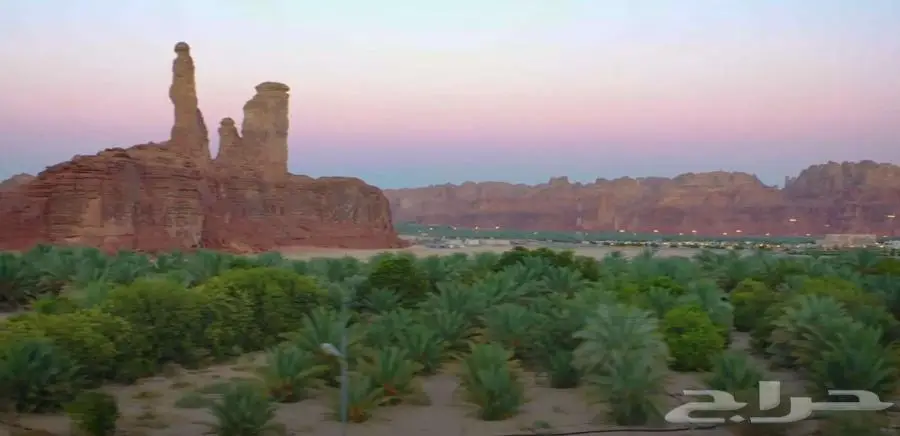 العلا حي مراخ بالقرب من مراخ 0