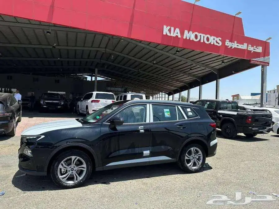 فورد تيرتورى2025امبيانتى كاش وتاجير منتهى بالتمليك 2