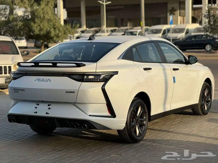 دونج فينج شاين 1 موديل 2025 10