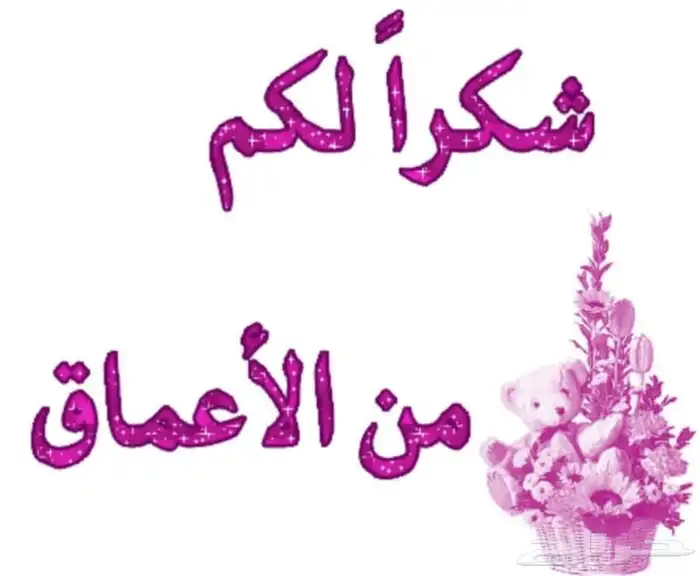 شحن جوي مصر 2