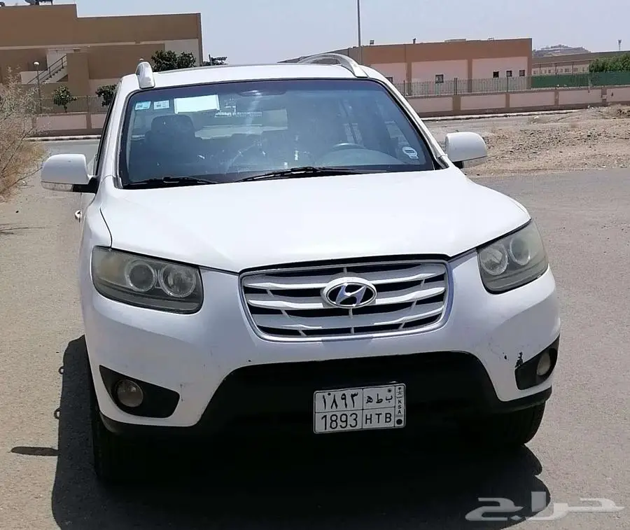 سنتافي 2012 4