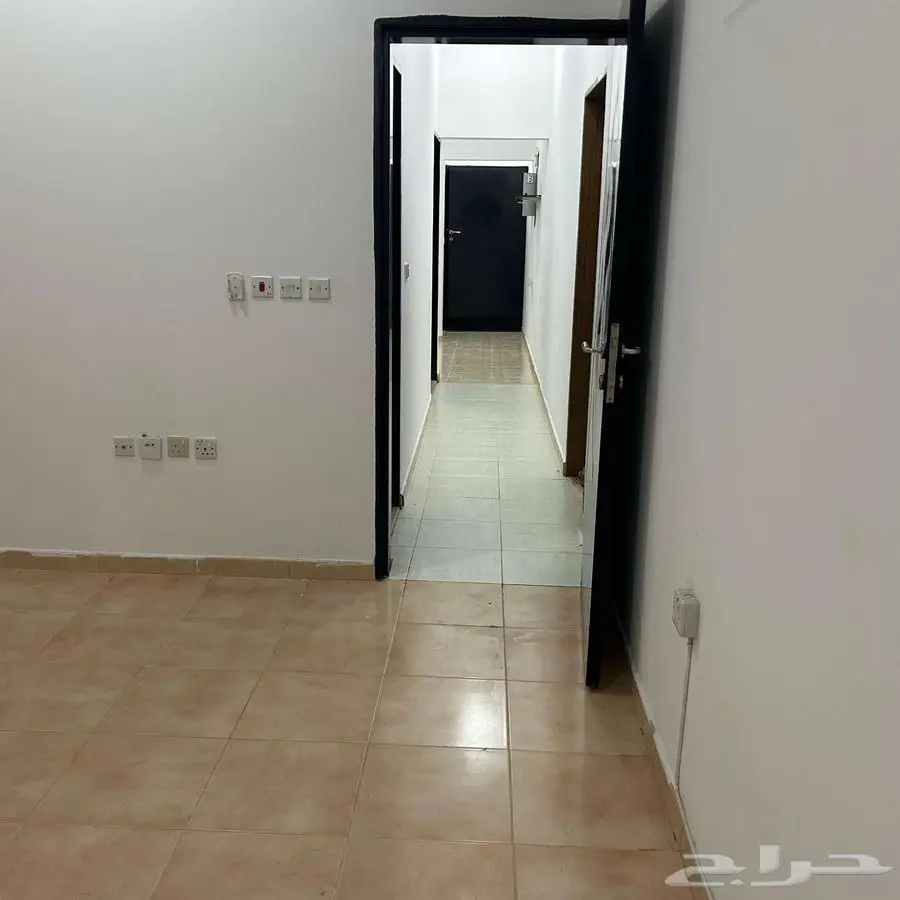 شقة عزاب للايجار 2