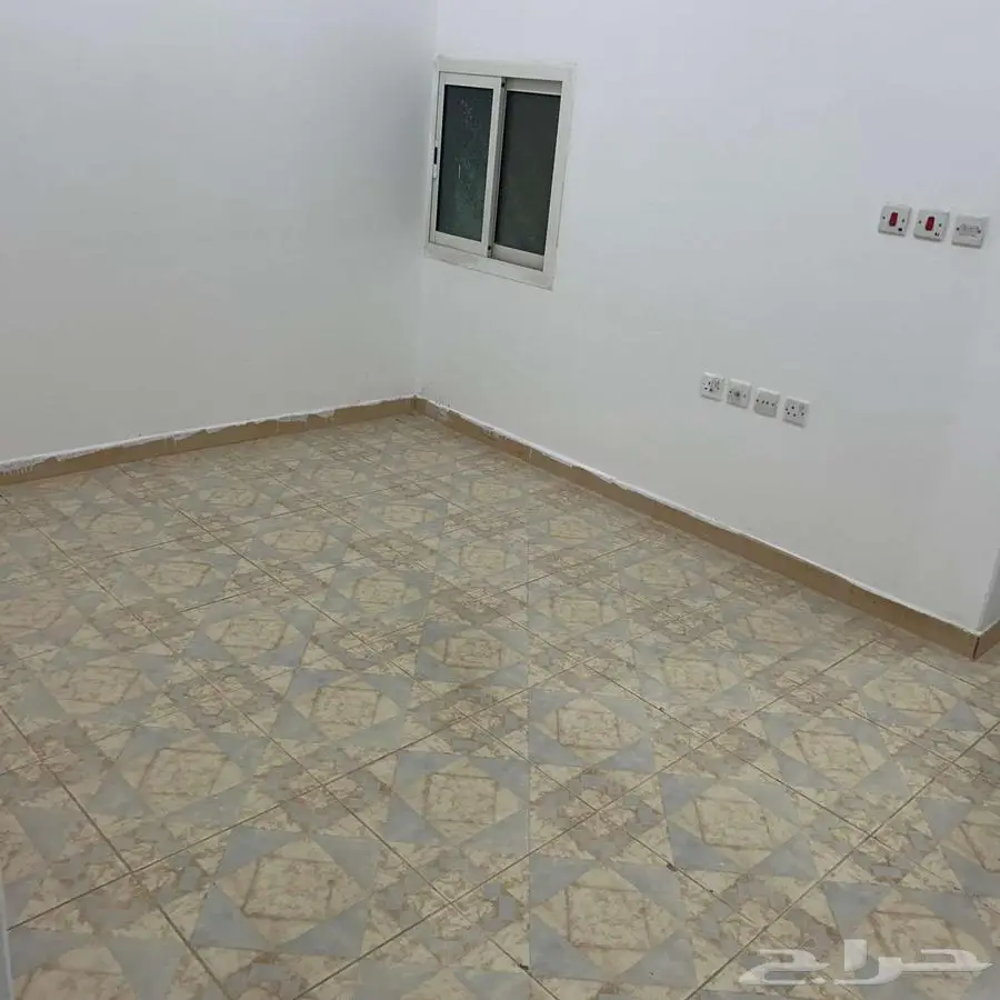 شقة عزاب للايجار 0