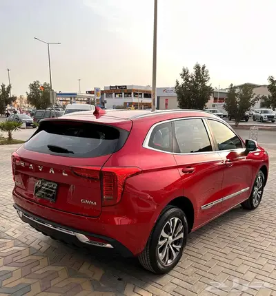 هافال جوليان 2024 29