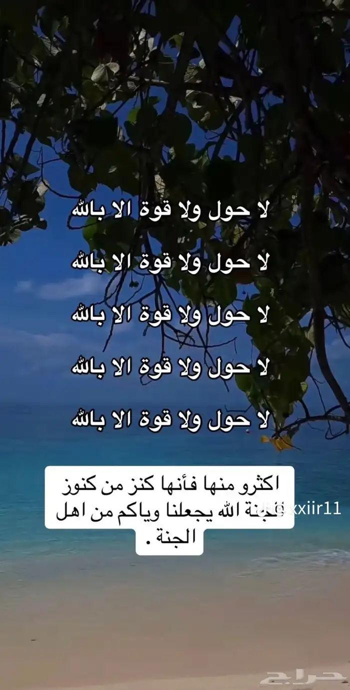 طبخ شعبي جنوبي 0