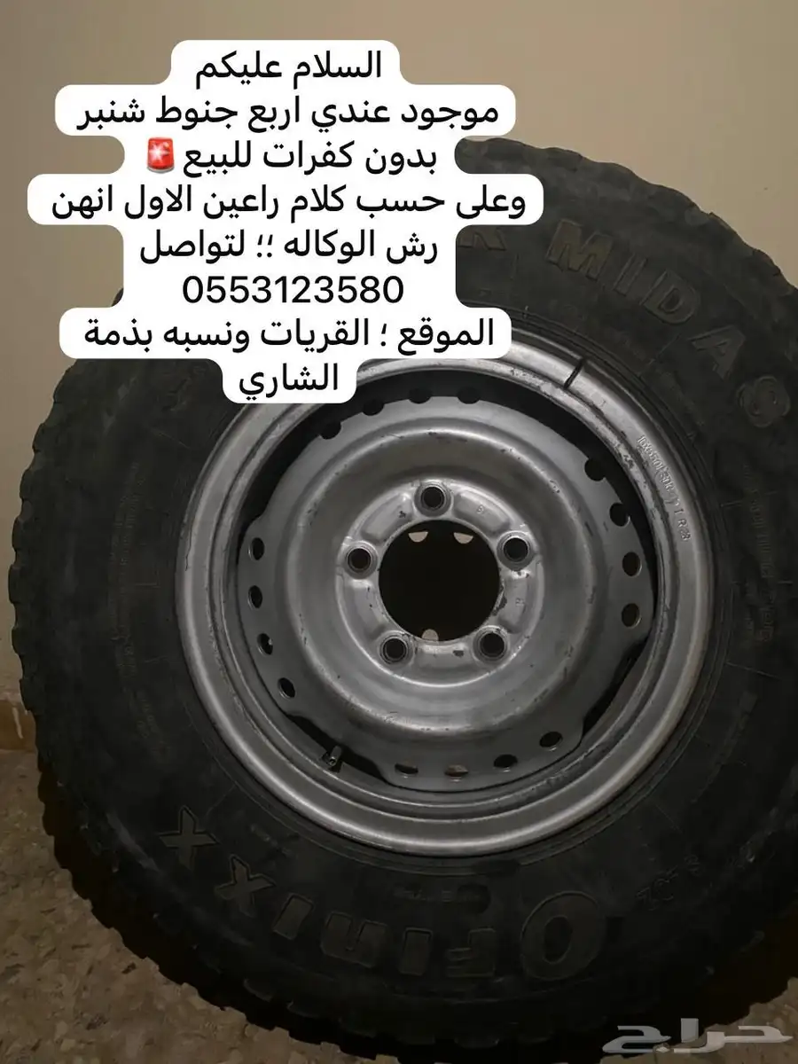 جنوط شنبر 0