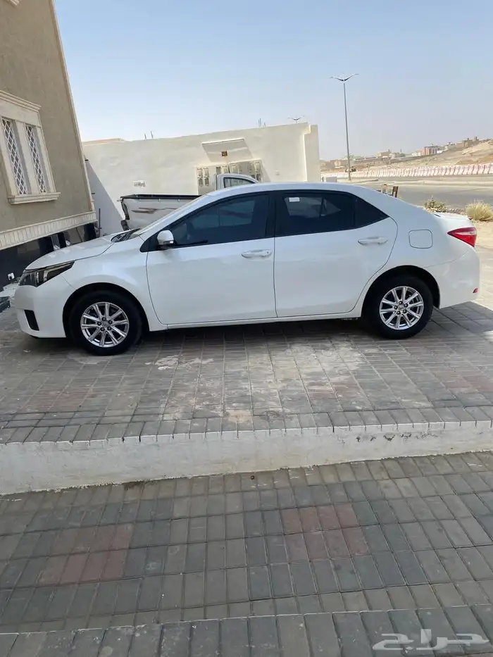تم البيع 6