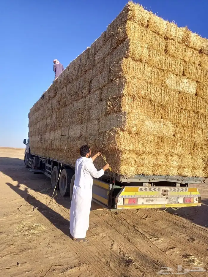 اعلاف 1