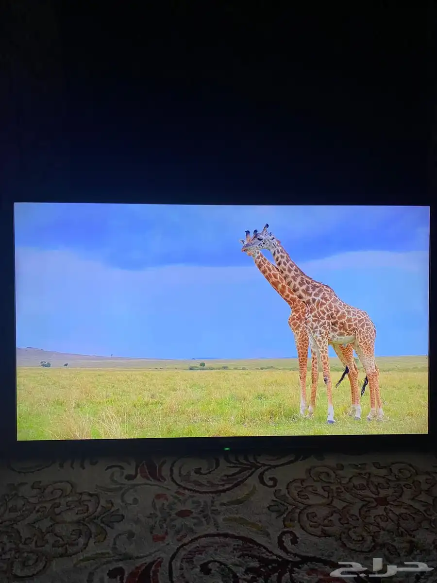 شاشة تلفزيون سوني 1