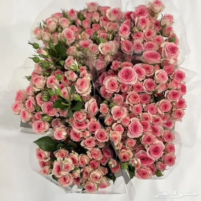 ورد طبيعي بالجمله 3