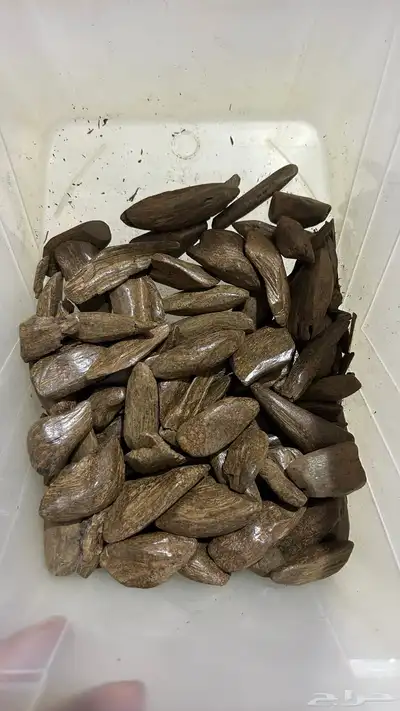 عود مروكي درجه عاليه الوقيه 49ريال 1