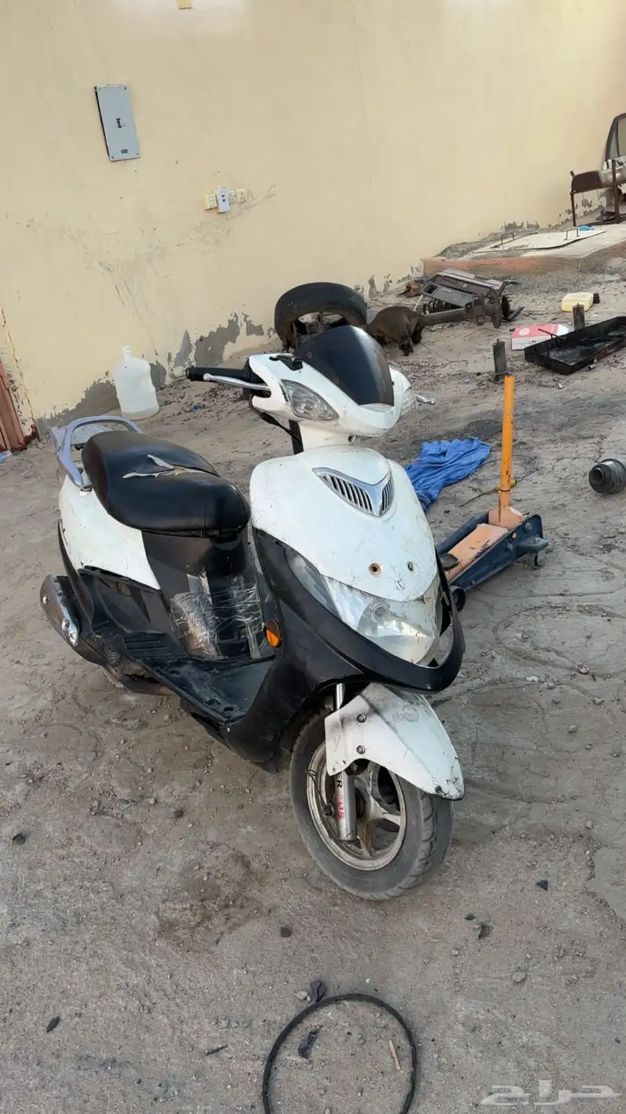 دباب عجيب سزوكي 2