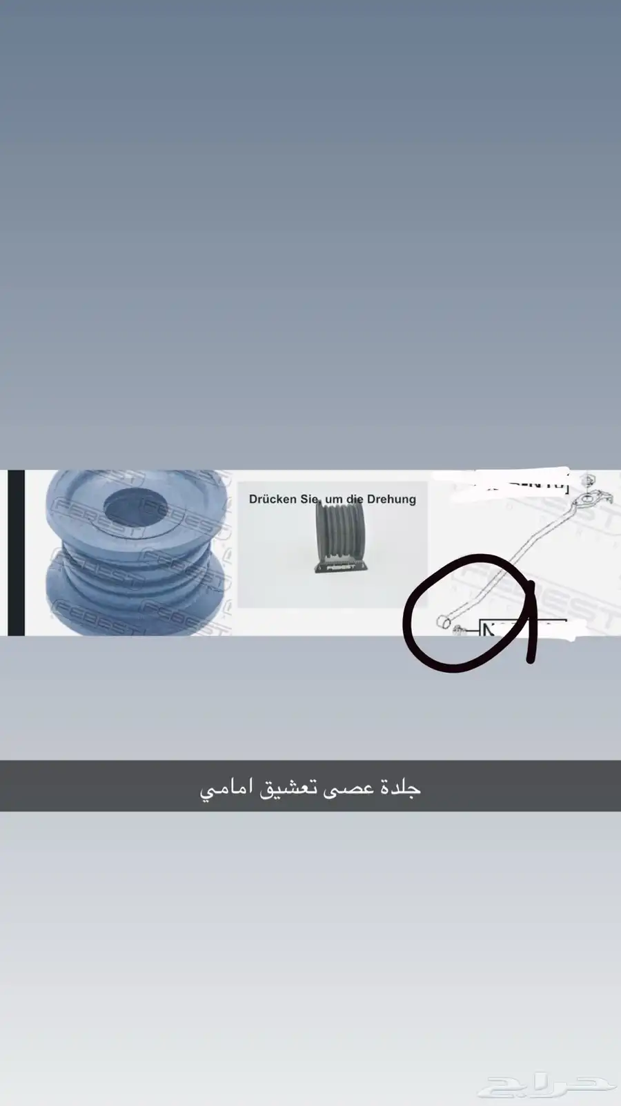 مكسيما 13