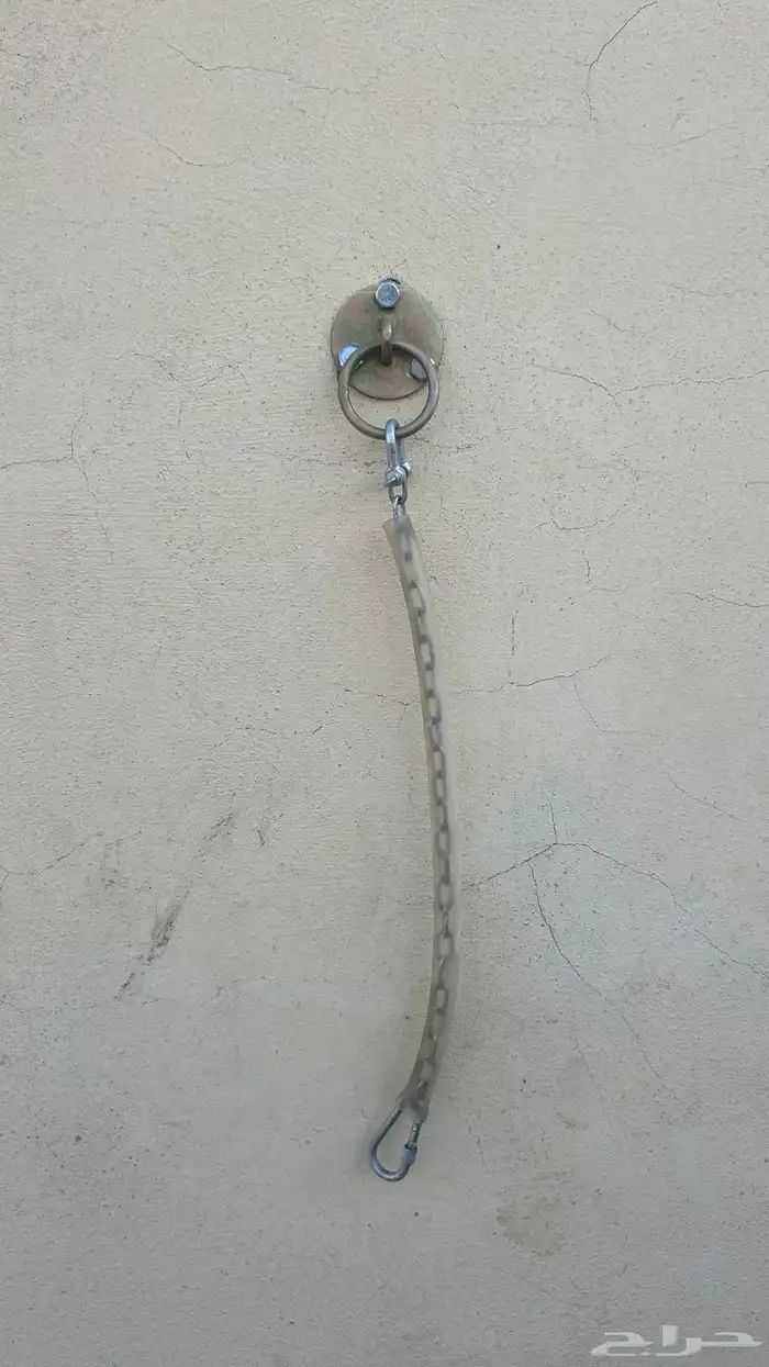 مصلب جداري للخيول 8