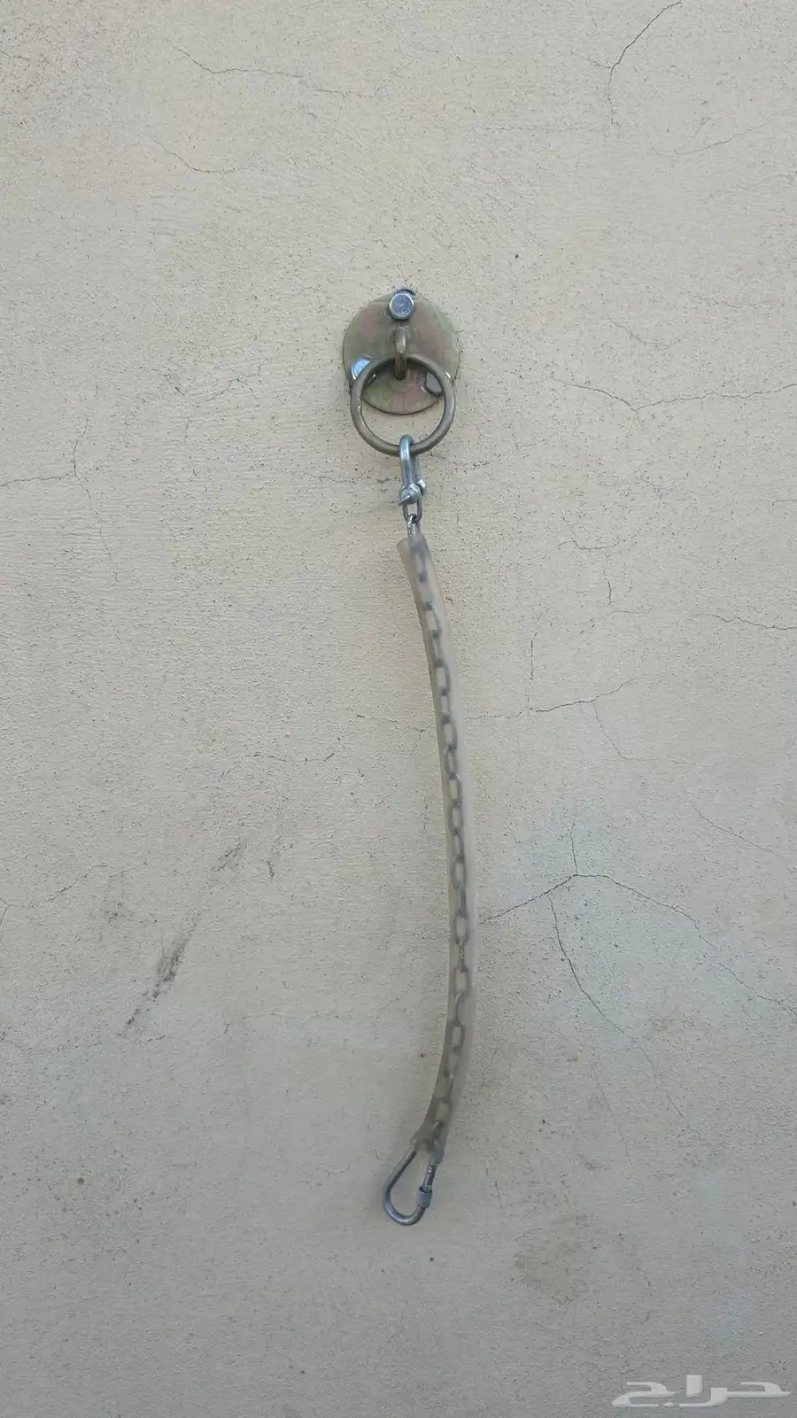 مصلب جداري للخيول 8