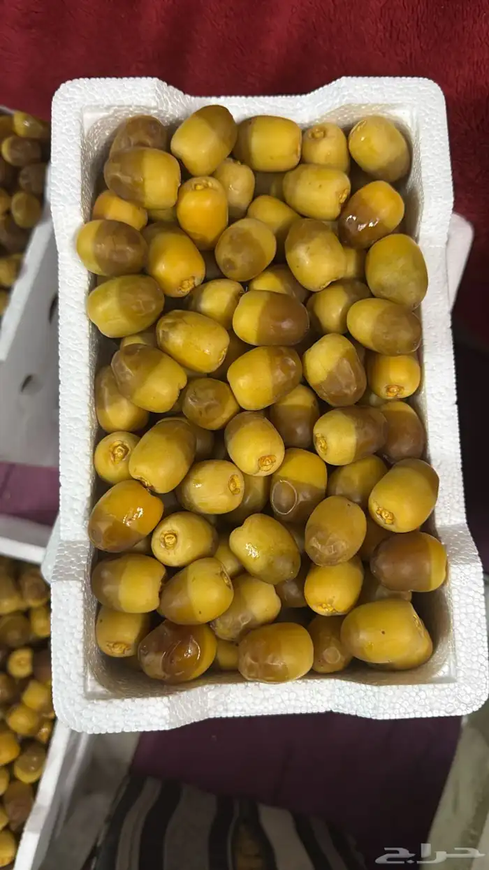 رطب روثانة وعجوة 4