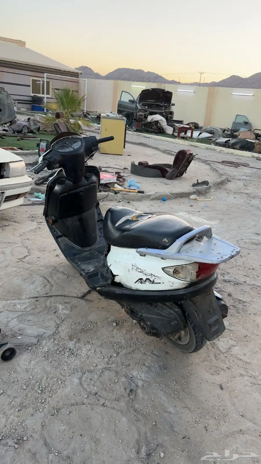 دباب عجيب سزوكي 0