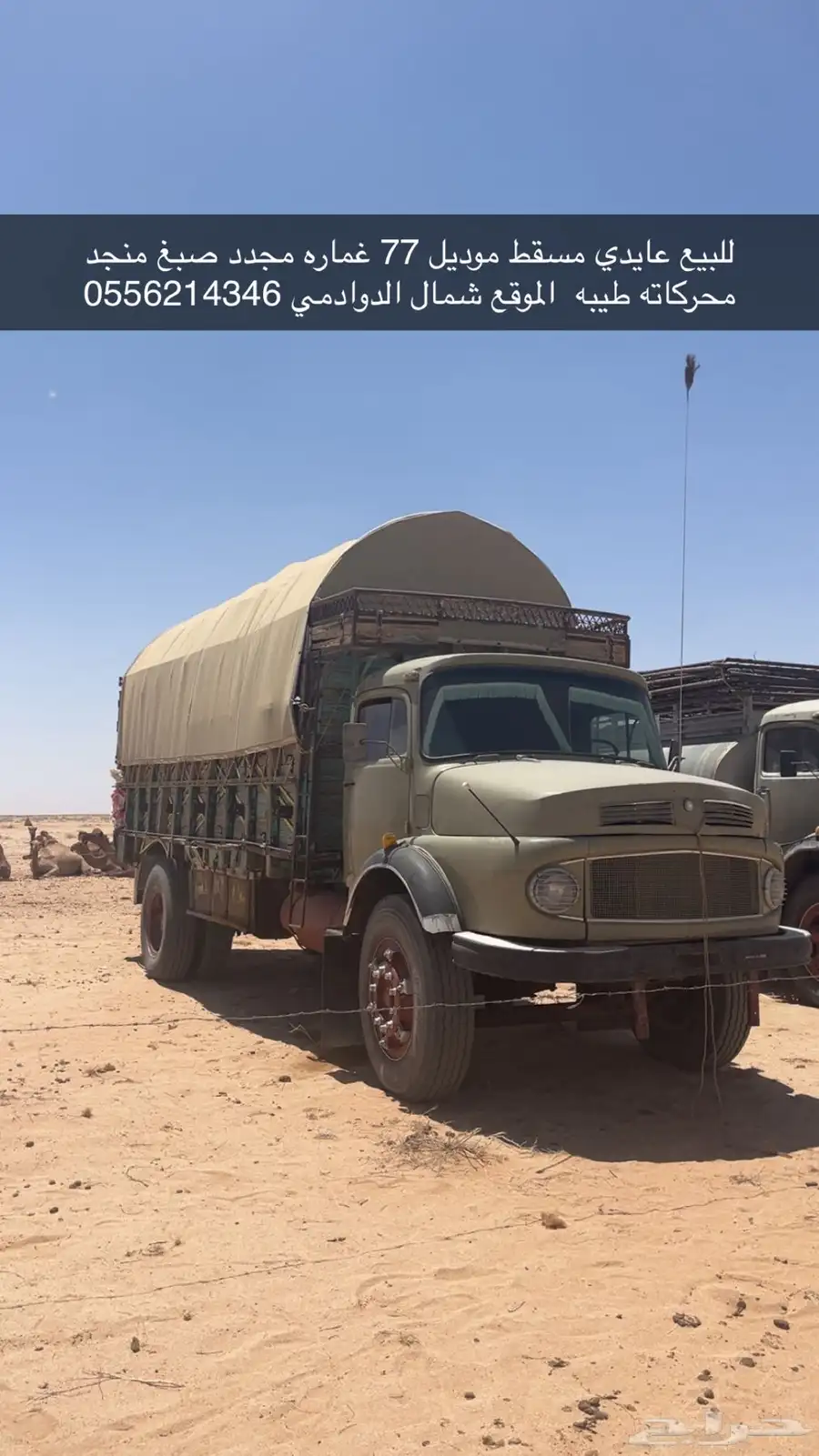 عايدي بوز مسقط 0