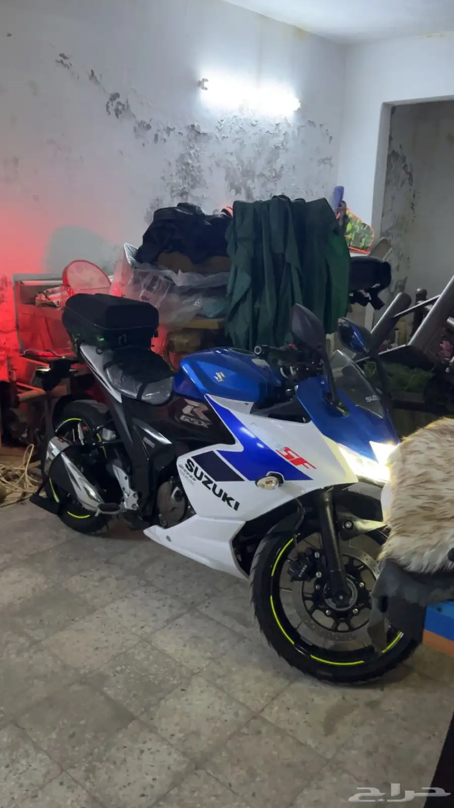 ريس سزوكي 250 0