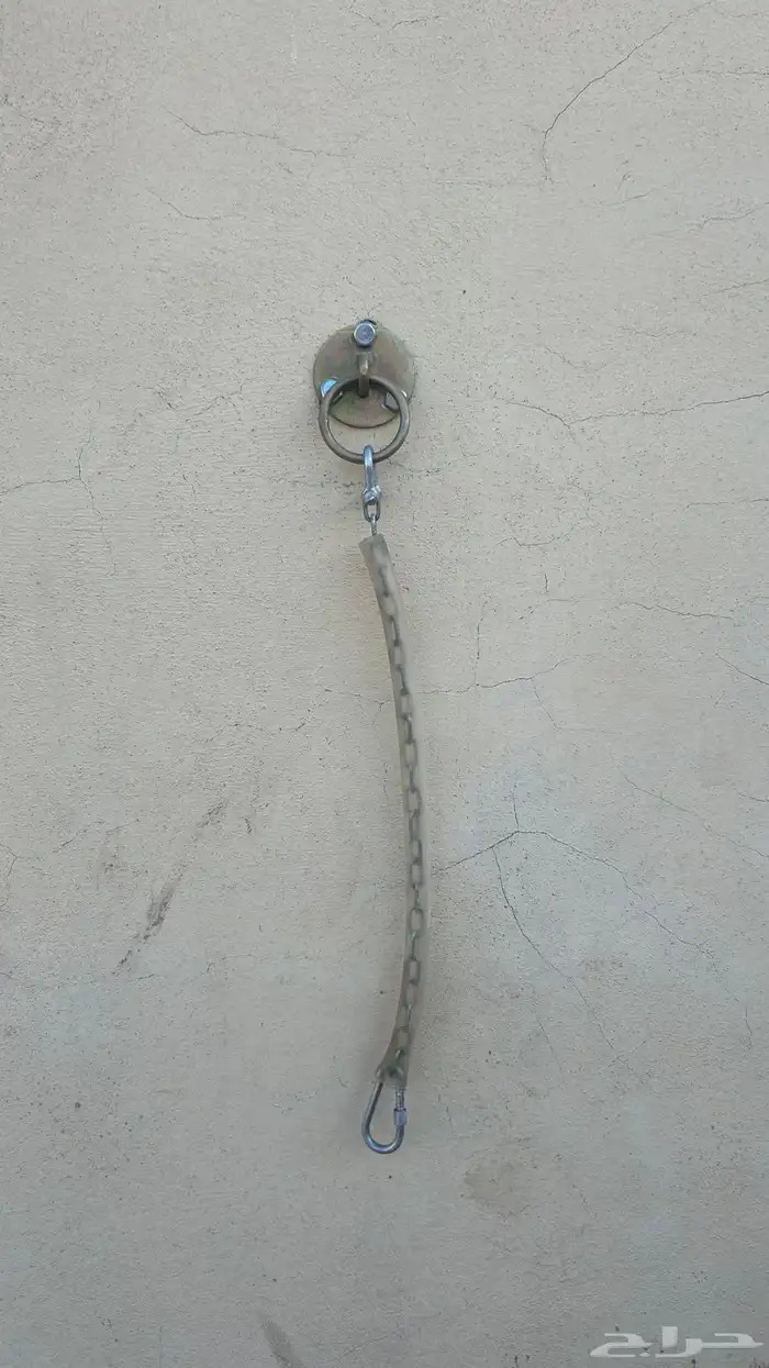 مصلب جداري للخيول 0