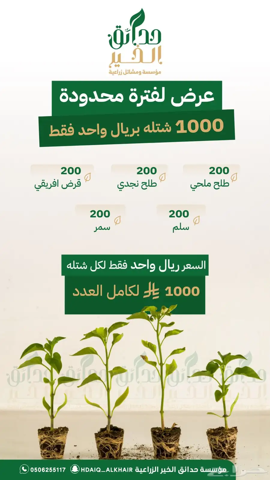 شتلات بريه بريال واحد فقط 0