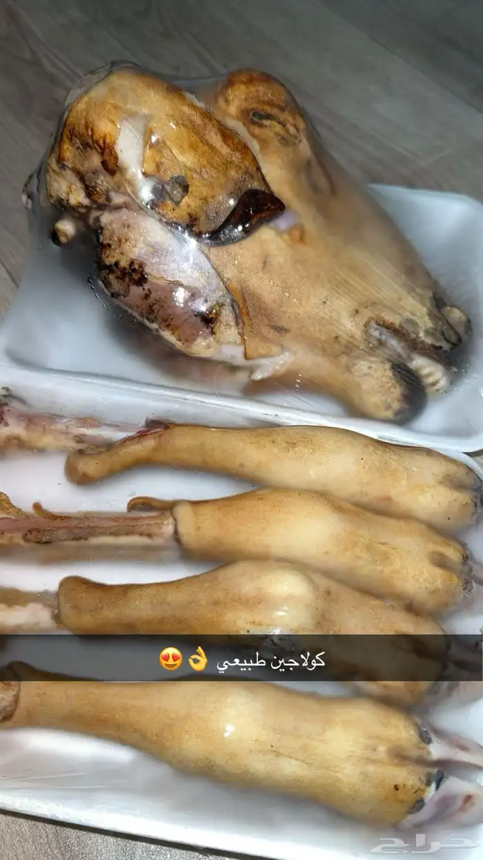 ذبائح حائل 4