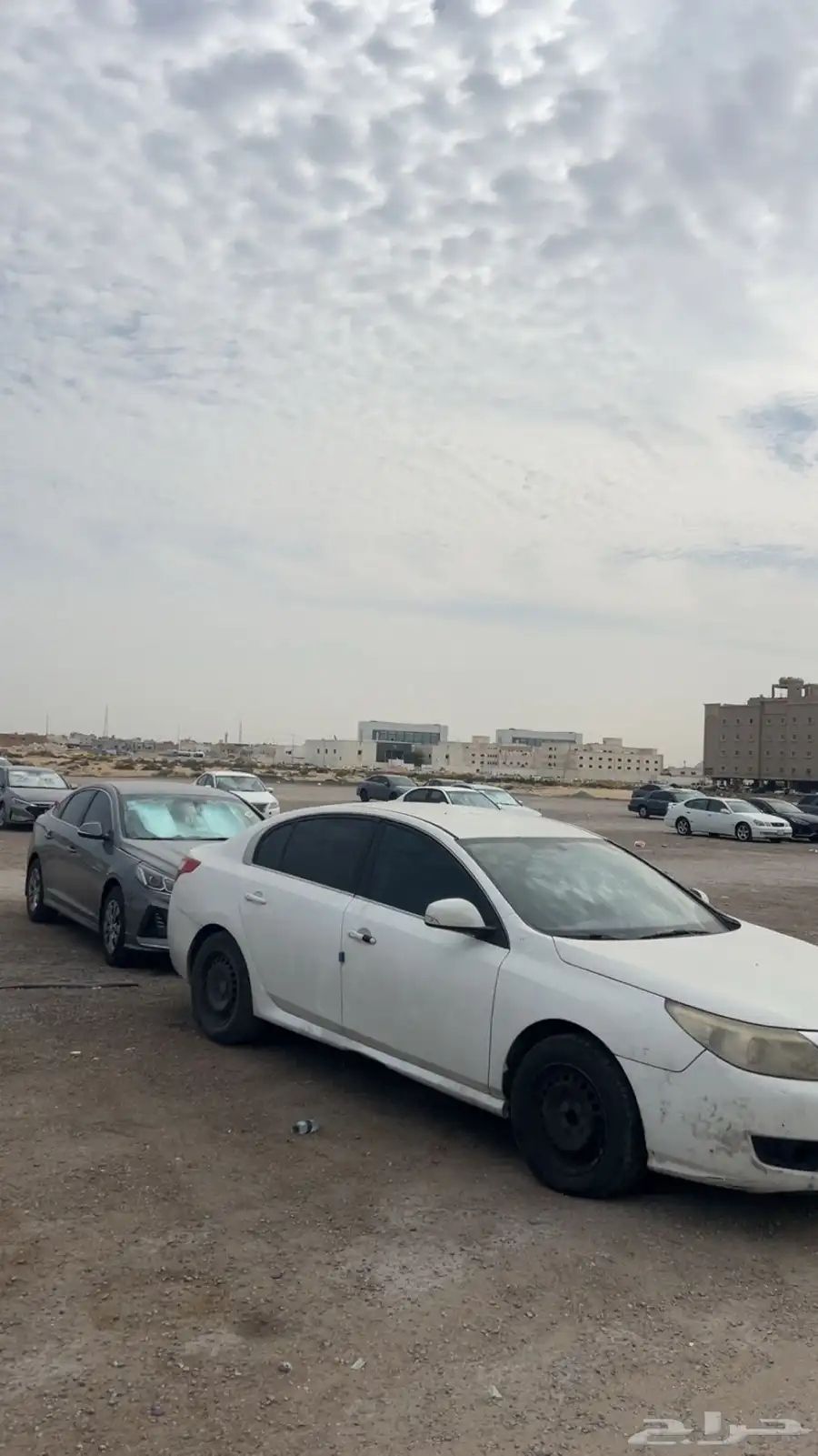 رينو سافران 2014 ستاندر 5