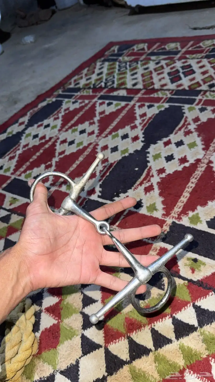 لجام وشكيمتين ومقود 2