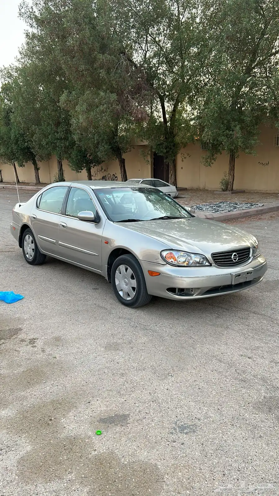 مكسيما 2007 2