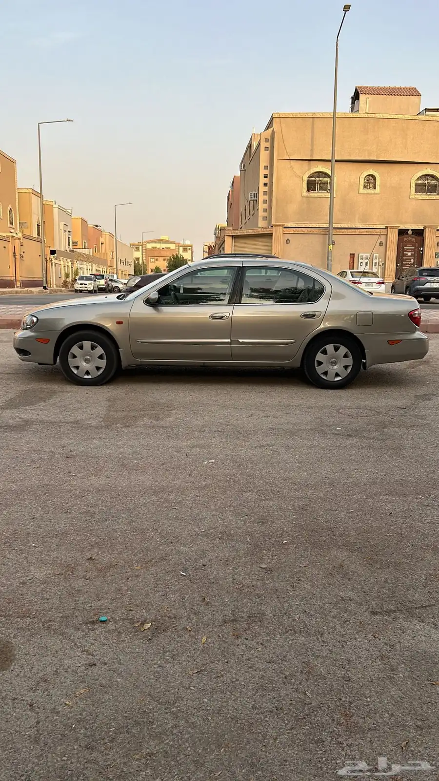 مكسيما 2007 6