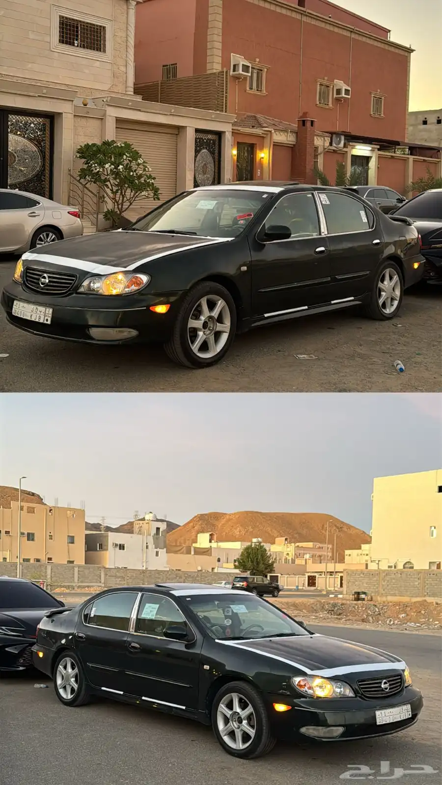 مكسيما 2001 5