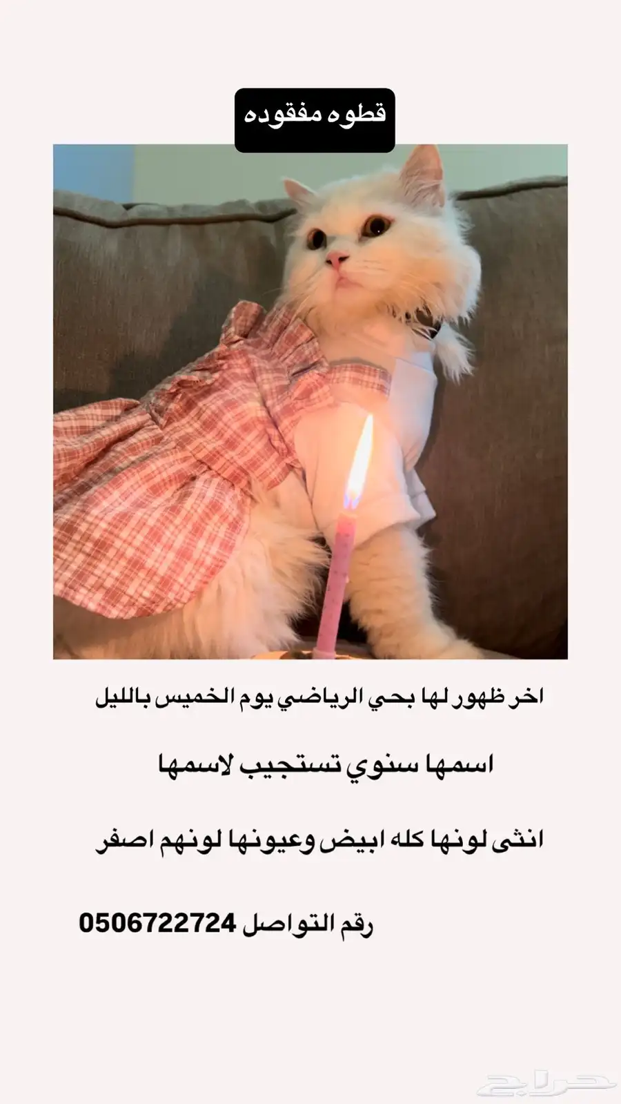 مكافاة مالية من يجدها يتواصل معي 0