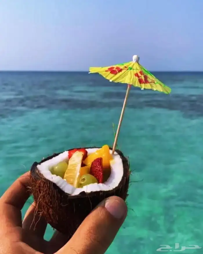 oh summer and sea 18