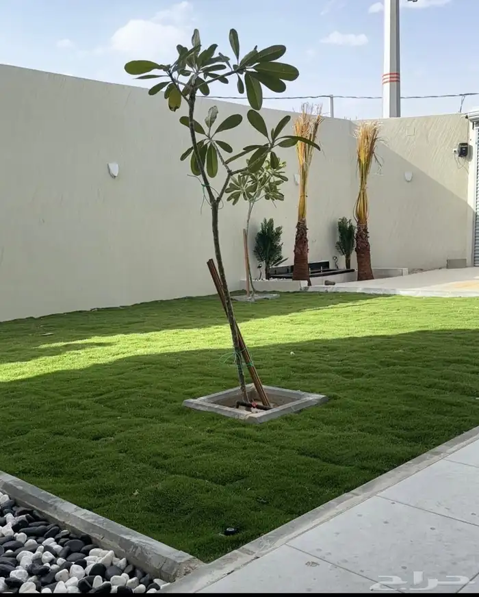 استراحة للإيجار السنوي 6