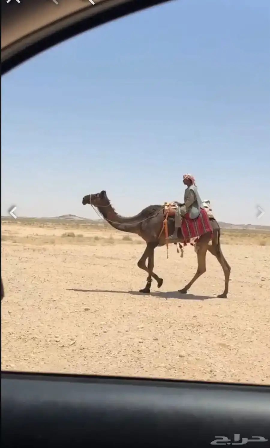 رحول مجهم طوع 1