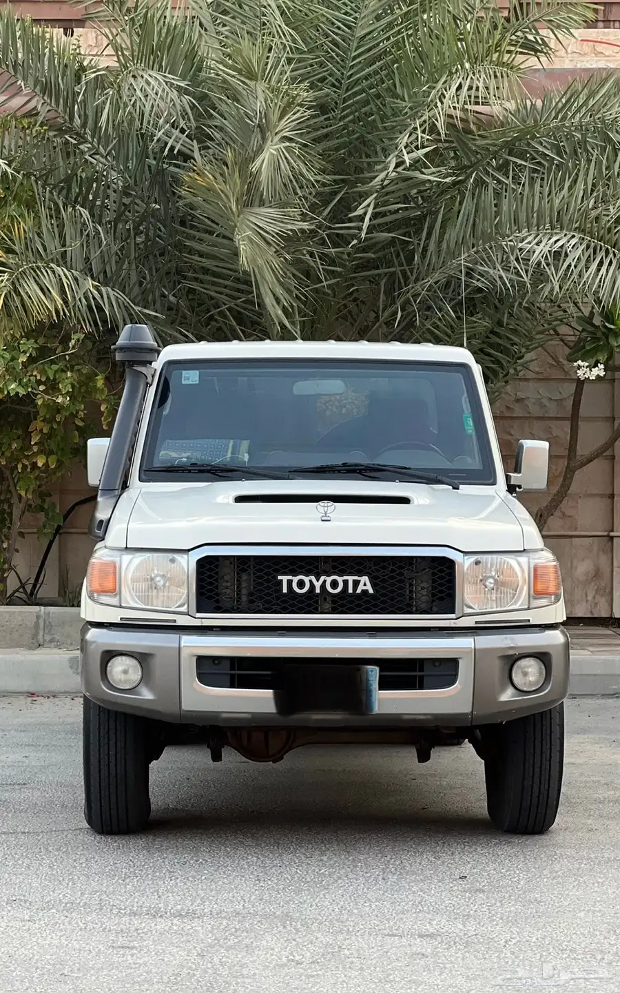 شاص ديزل 2021 دفلك نظيف 0