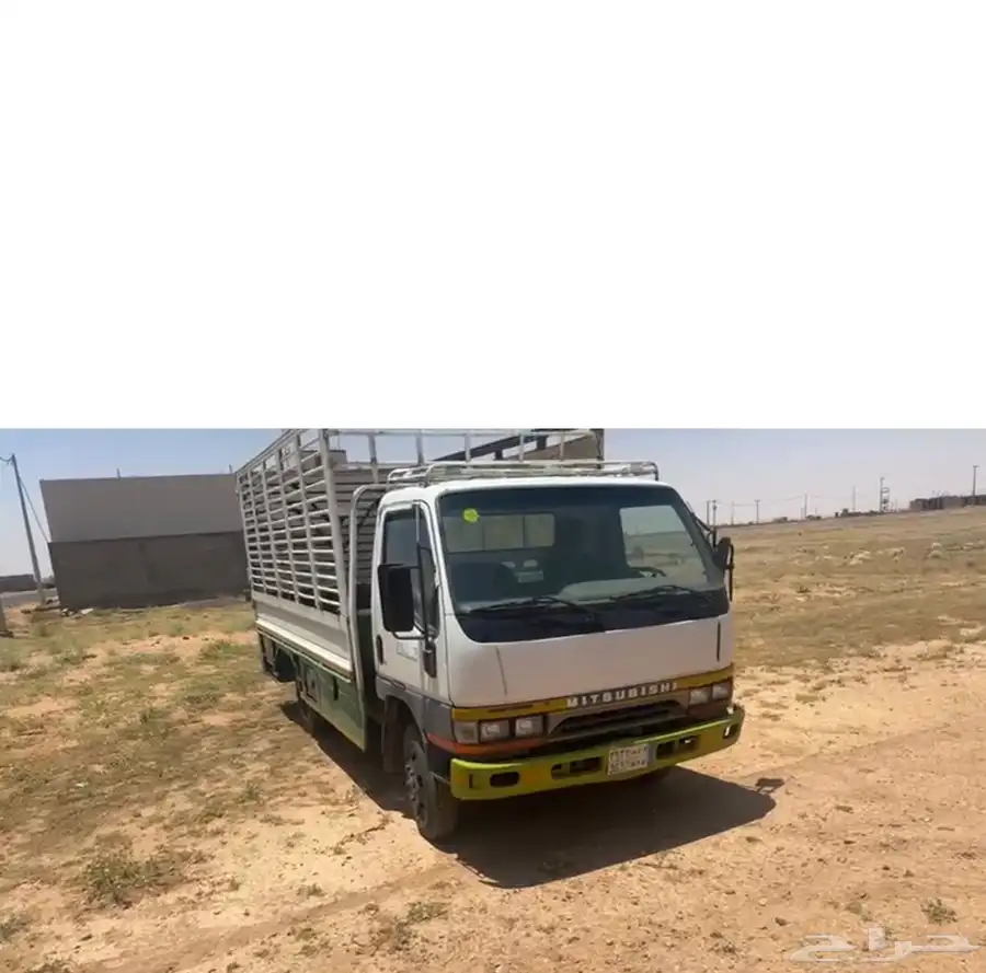 دينا مستبشو 0