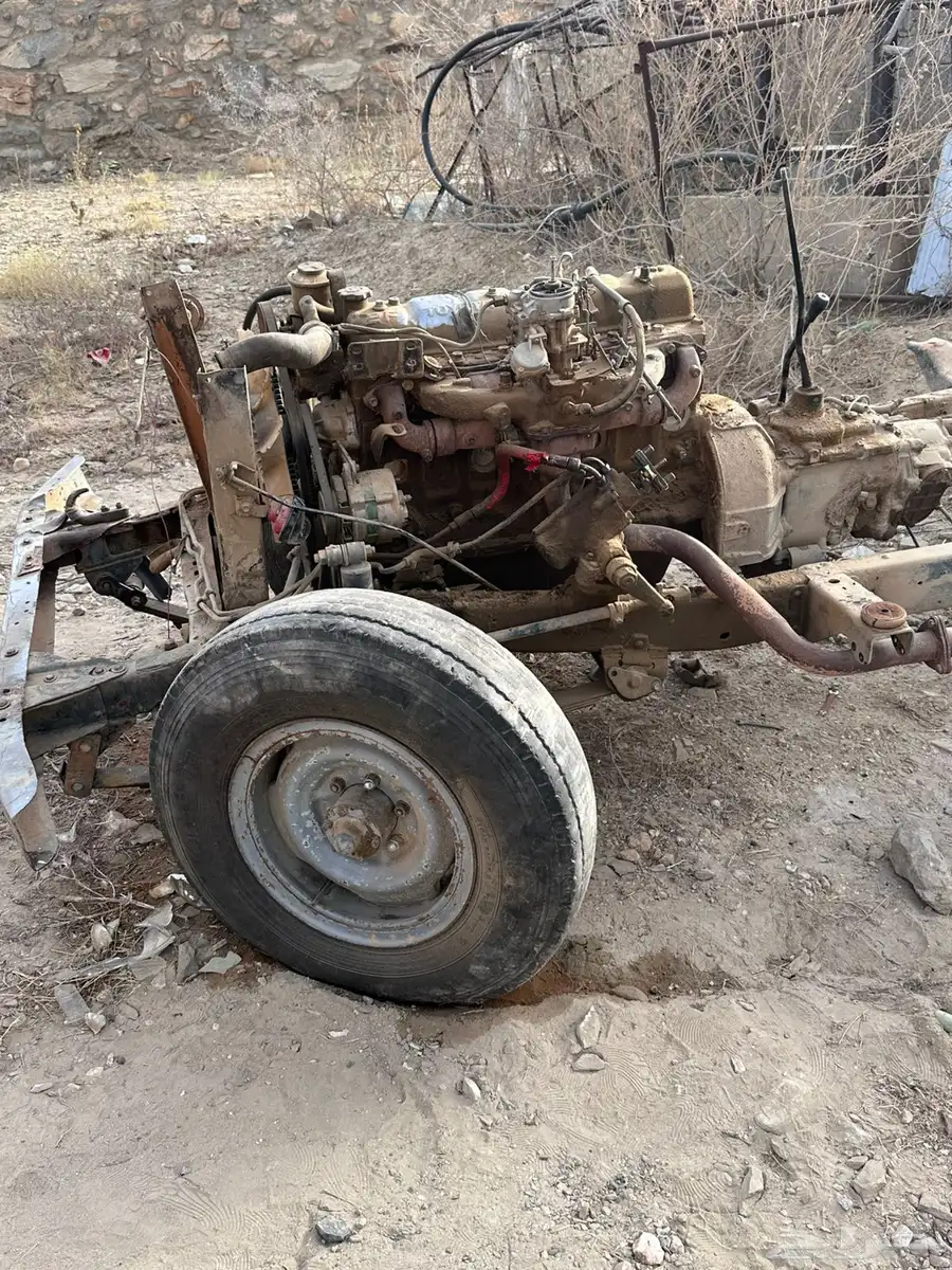 شاص 80 0