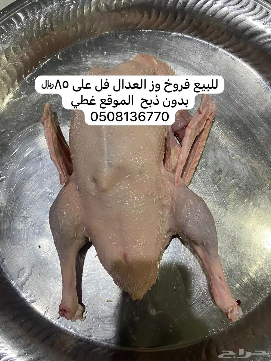 فروخ وز عمر 6 شهور 0