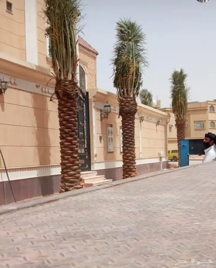 تنسيق حدائق تبوك 7