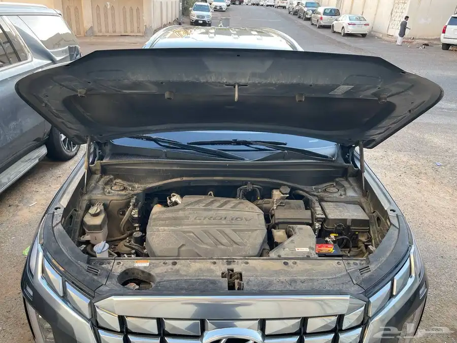 PALISADE 2023 10