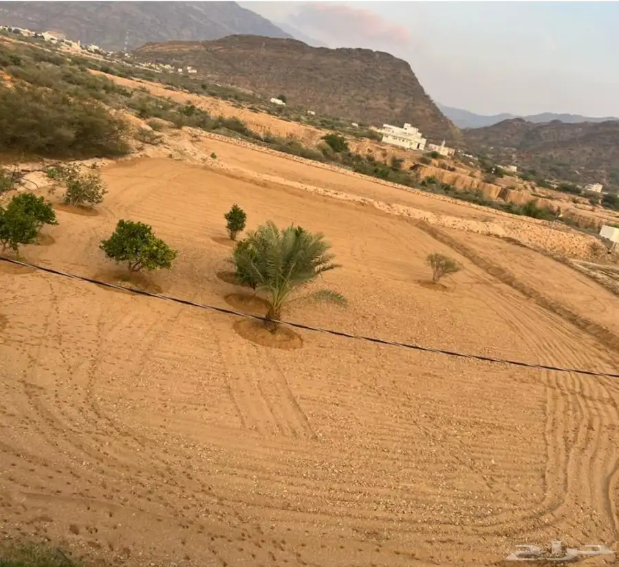 ارض زراعية مساحتها 1000م للبيع -محايل عسير -آل مشول 0