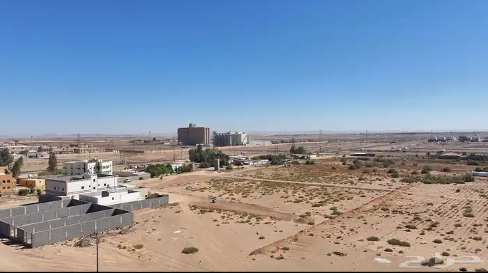 مصور درون احترافي 0