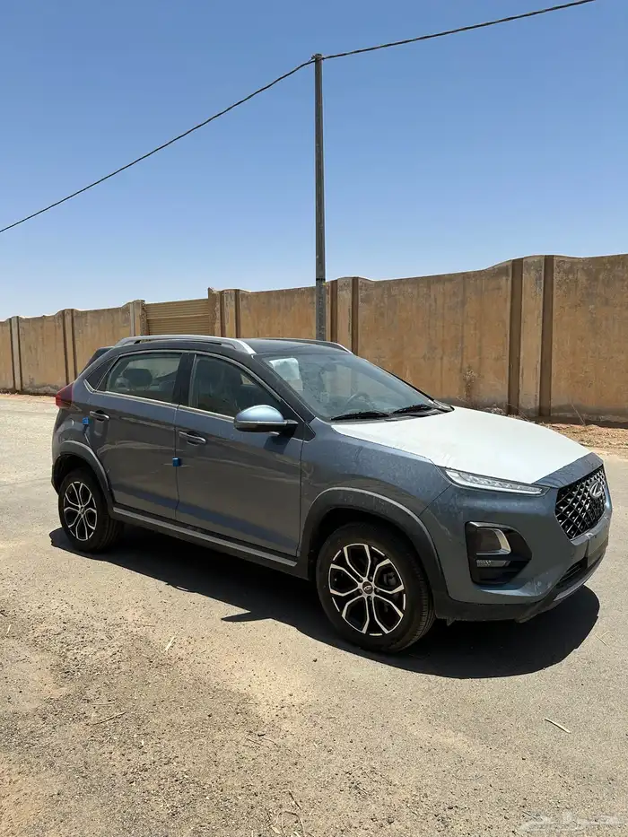 شيري اصفار جديده2024 1