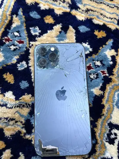 الرياض النظيم 0