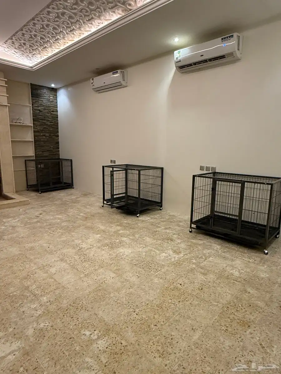 فندقة كلاب 10