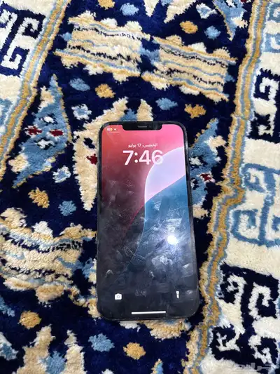 الرياض النظيم 1