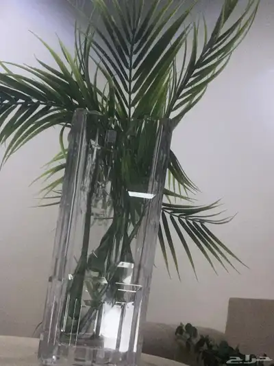 فازة زجاج ثقيل 1