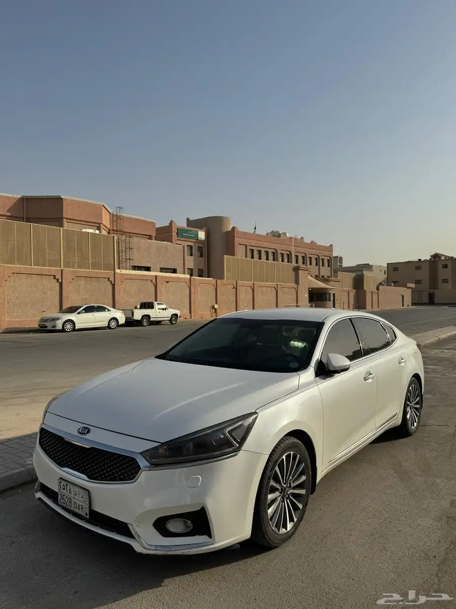 كيا كدينزا 2020 بدي بلد 0